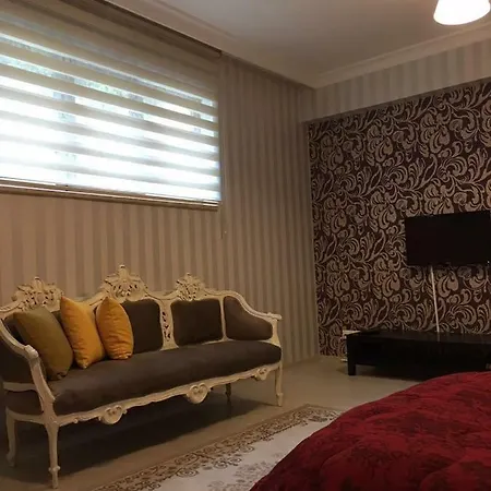 Silver Palace Kulturpak דירה בורסה